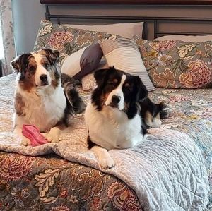 Meet your Posher, Bob